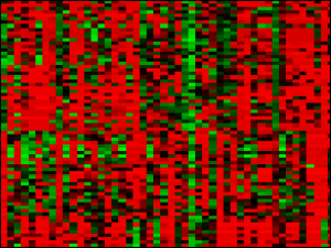 gene expression levels